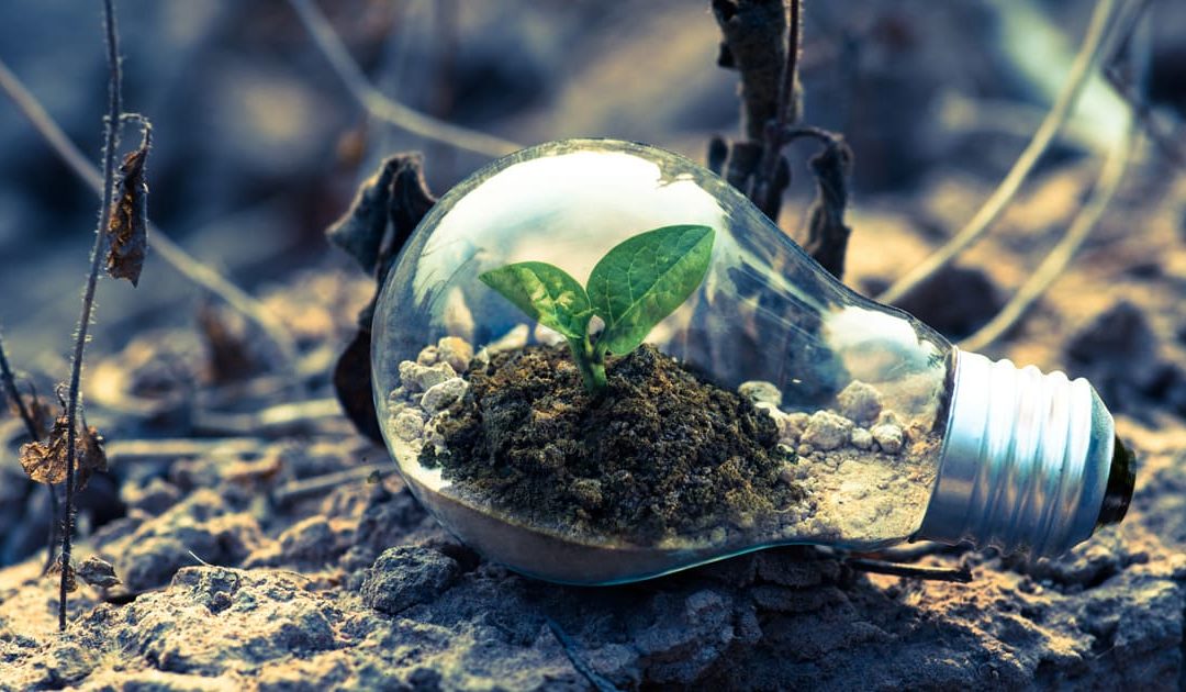 Mettre en place une stratégie de lead nurturing B2B